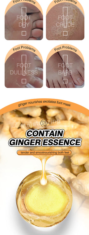 Cross-border In-stock Hand Mask Foot Mask ZOZU Skin Rejuvenation Honey Ginger Nourishing Hand and Foot Care Cross-Border Foreign Trade Factory Direct Sales